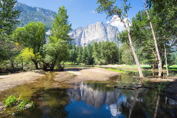 Yosemite Falls reflected in Merced River, Yosemite Valley, Yosemite National Park; Sierra Nevada, California, North America, USA