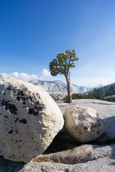 Olmsted Point located along the Tioga Road, Yosemite National Park, California, North America, USA