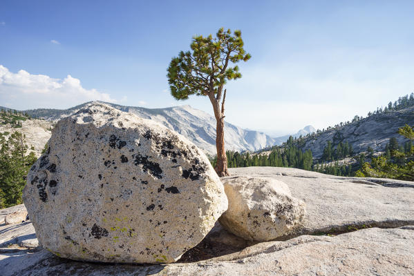 Olmsted Point located along the Tioga Road, Yosemite National Park, California, North America, USA