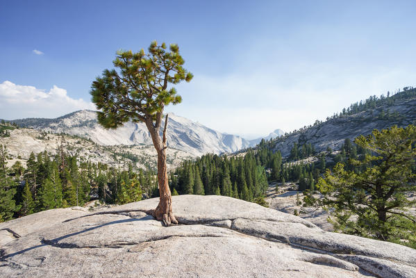 Olmsted Point located along the Tioga Road, Yosemite National Park, California, North America, USA