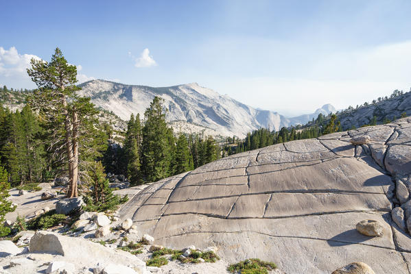 Olmsted Point located along the Tioga Road, Yosemite National Park, California, North America, USA