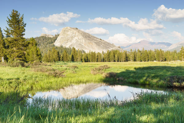 Toulumne River and Lembert Dome, Toulumne Meadows, Tioga Pass, Yosemite National Park, California, North America, USA