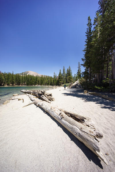 McLeod Lake, Mammoth Lakes, Inyo National Forest, Sierra Nevada, California, North America, USA