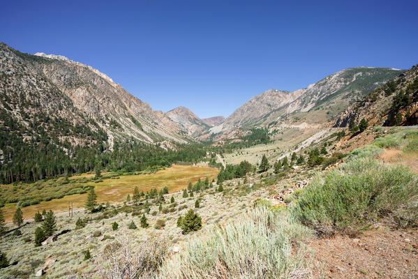 Tioga Pass Road, Lee Vining, Sierra Nevada, California, North America, USA