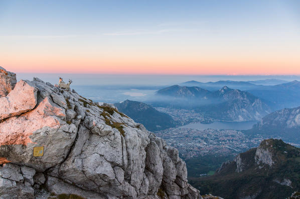 View of Lecco city and Como Lake from the summit of Resegone at sunrise, Lecco, Lombardy, Alps, Italy, Europe