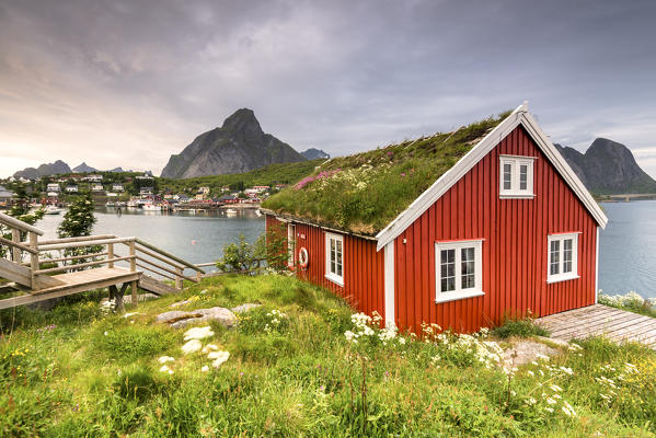 Typical Rorbu surrounded by grass, sea and mountains in background, Reine, Nordland county, Lofoten Islands, Northern Norway, Europe