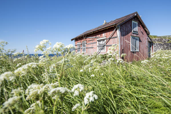 Typical house of Vaeroy Island, Nordland county, Lofoten Islands, Norway, Europe