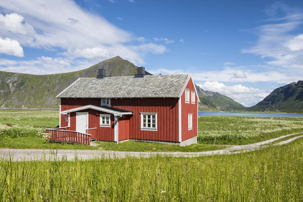 Typical house in green meadows, Flakstad, Lofoten Islands, Norway, Europe