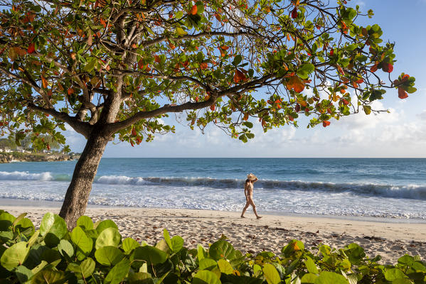 Woman with hat walks on waterfront of Miami Beach, Barbados Island, Lesser Antilles, West Indies, Caribbean region