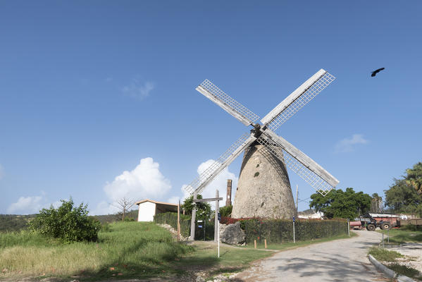 The windmill of Barbados Island, Lesser Antilles, West Indies, Caribbean region