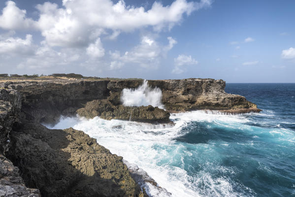 The cliff in front of the big waves of Atlantic Ocean, North Point, Barbados Island, Lesser Antilles, West Indies, Caribbean region 