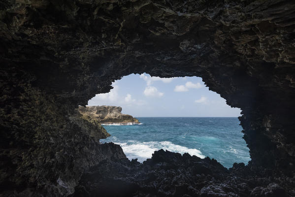 Animal Flower Cave in front of Atlantic Ocean, North Point, Barbados Island, Lesser Antilles, West Indies, Caribbean region 