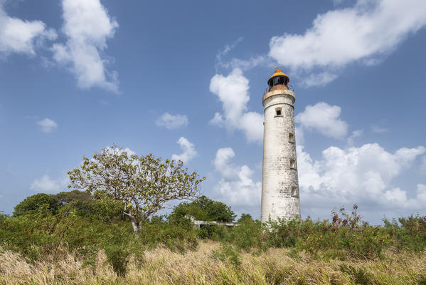 Harrison's point light house, Barbados Island, Lesser Antilles, West Indies, Caribbean region 