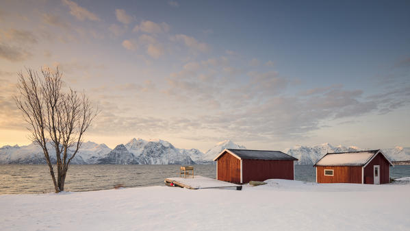 Typical Rorbu in the snowy landscape at sunset on the fjord, Djupvik, Lyngen Alps, Tromso, Norway, Europe