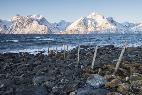 The beach with some stones at Djupvik, Lyngen Alps, Tromsø, Norway, Europe