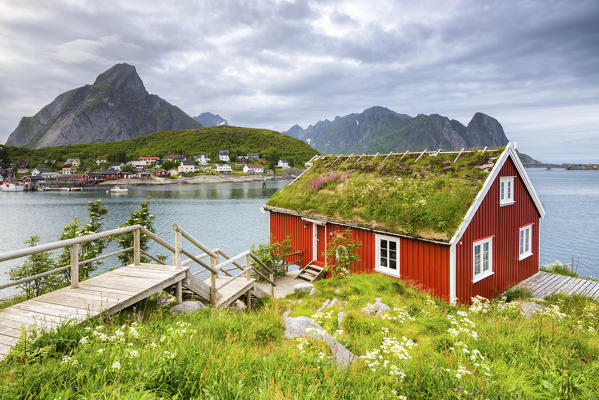 Typical Rorbu surrounded by grass, Nordland county, Lofoten Islands, Northern Norway, Europe