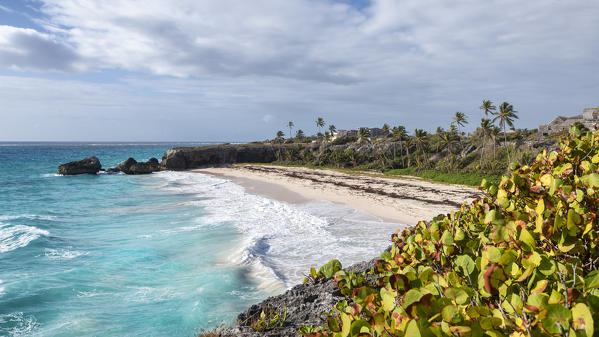 The Harrismith beach, Barbados Island, Lesser Antilles, West Indies, Caribbean region