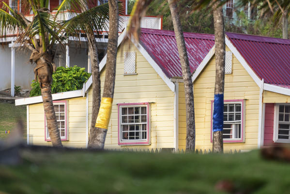 Typical houses of Batsheba village during sunrise, Barbados Island, Lesser Antilles, West Indies, Caribbean region
