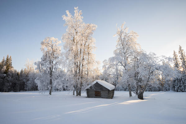Wooden hut in the snowy forest, Kiruna, Norrbotten County, Lapland, Sweden, Europe