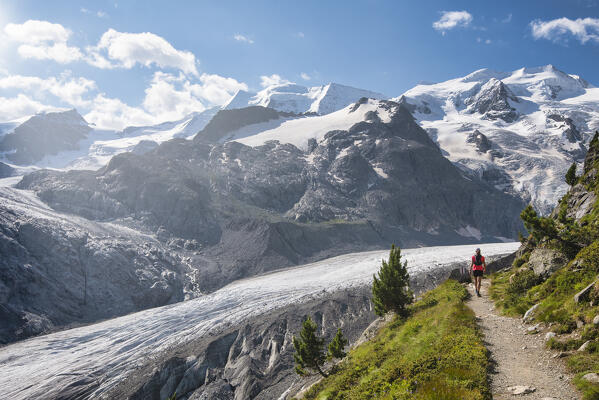 Woman walks along the track above the Morteratsch glacier, Morteratsch, Engadine, canton of Graubunden, Switzerland
 (MR)