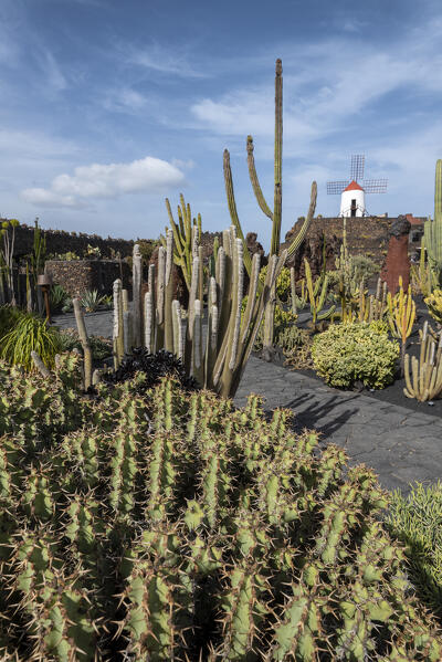 Jardin de Cactus, garden designed by Cesar Manrique in Lanzarote, Canary Island, Spain, Europe