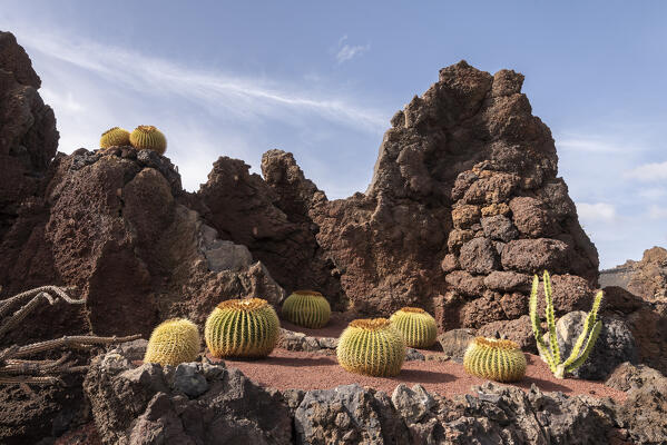 Jardin de Cactus, garden designed by Cesar Manrique in Lanzarote, Canary Island, Spain, Europe