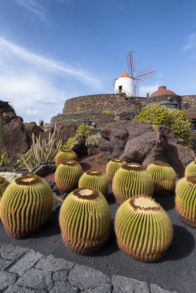 Jardin de Cactus, garden designed by Cesar Manrique in Lanzarote, Canary Island, Spain, Europe