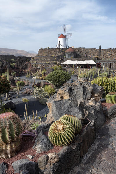 Jardin de Cactus, garden designed by Cesar Manrique in Lanzarote, Lanzarote, Canary Island, Spain, Europe