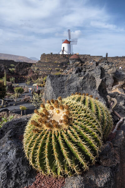 Jardin de Cactus, garden designed by Cesar Manrique in Lanzarote, Lanzarote, Canary Island, Spain, Europe