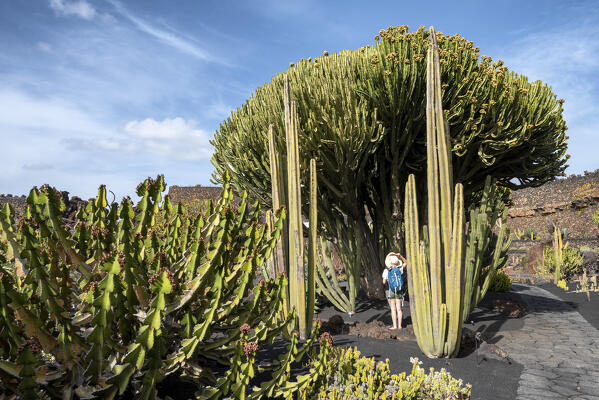 Girl visits the Jardin de Cactus, garden designed by Cesar Manrique in Lanzarote, Lanzarote, Canary Island, Spain, Europe (MR)