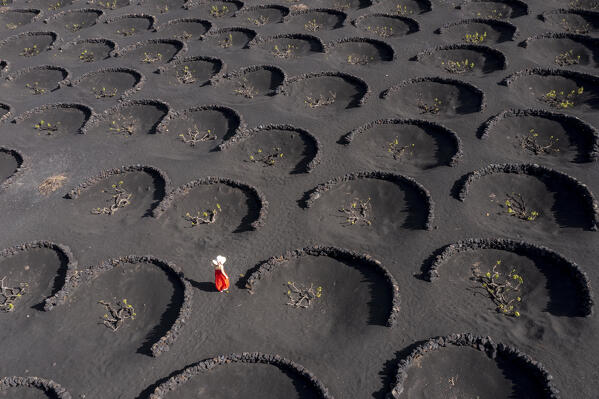 Girl with red dress walks in vineyards of Geria,Lanzarote, Canary Island, Spain, Europe