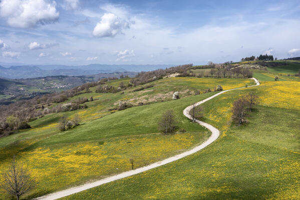 Flowery meadows along the Via degli Dei in the Apennines, Emilia Romagna