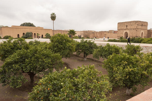 The gardens with orange trees of El Badi Palace in Marrakech, Marrakech-Safi, Morocco 