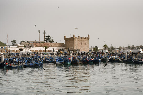 The port of Essaouira, Marrakech-Safi, Morocco