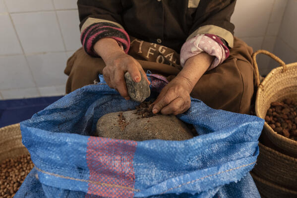 Woman works on the preparation of argan oil, Marrakech, Marrakech-Safi, Morocco