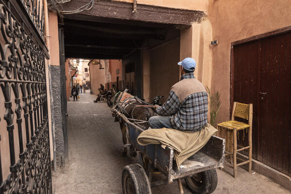 Typical means of transportation of Marrakech, Morocco, Africa 