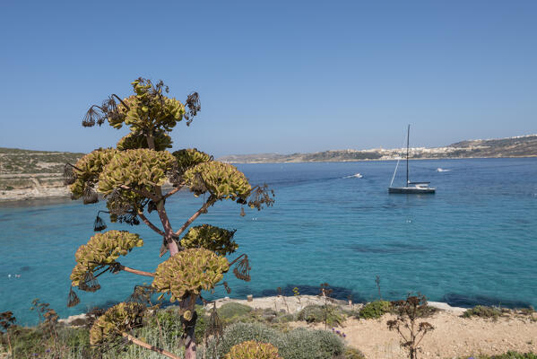 Blue Lagoon at Comino Island, Malta, Europe