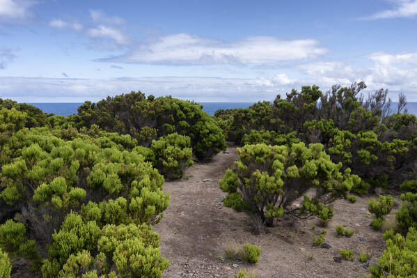 Miradouro de Alagoa, Terceria island, Azores islands, Portugal 