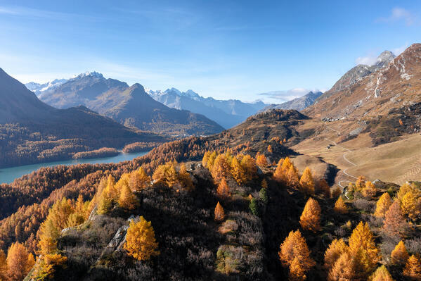 Aerial view of Grevasalvas woodland during autumn season, Engadine, Canton of Graubunden, Switzerland 