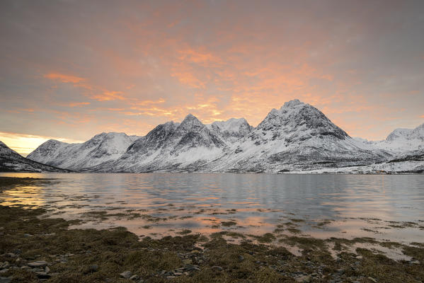 The sunrise on the beach by frozen sea and snowy peaks,  Svensby, Lyngen Alps, Tromso, Norway, Europe 
