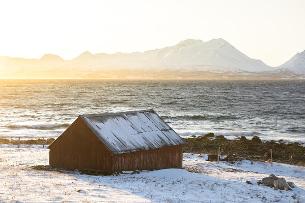 The winter sun hits a typical house, Nordmannvik, Kafjord, Lyngen Alps, Tromso, Norway, Europe