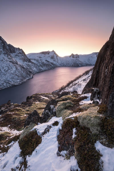 Mefjorden and Breidtinden illuminated by colorful arctic sunset, Barden, Mefjordbotn, Mefjorden, Senja, Tromso, Norway, Europe