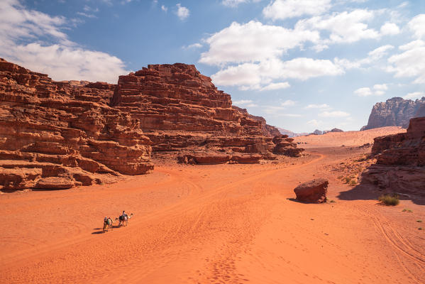 Caravana of camels in Wadi rum desert, south Jordan, Middle east, Asia