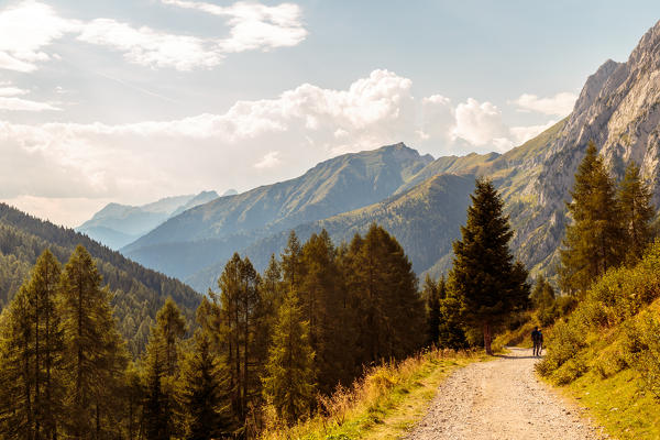 Summer afternoon in the Carnic Alps, Udine province, Friuli Venezia-Giulia region, Italy