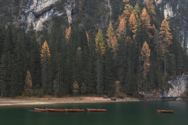 boats at Braies Lake, Natural Park fanes-sennes-braies, Bolzano province, Trentino Alto Adige district, Dolomites, South Tyrol, Italy, Europe.