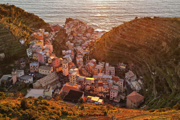 aerial view of Manarola at sunset, national park of Cinque Terre, municipality of Riomaggiore, La Spezia province, Liguria district, Italy, Europe