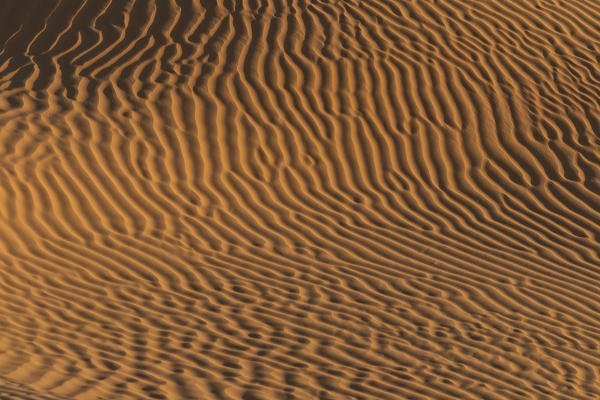 texture in the sand dunes, Sahara desert, Tunisia, Northern Africa.