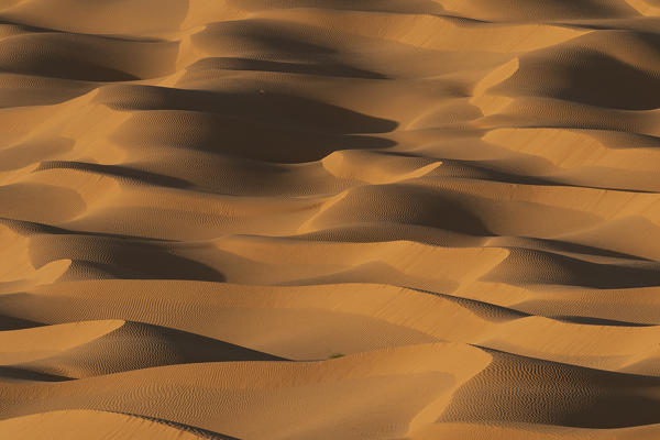 texture in the sand dunes, Sahara desert, Tunisia, Northern Africa.