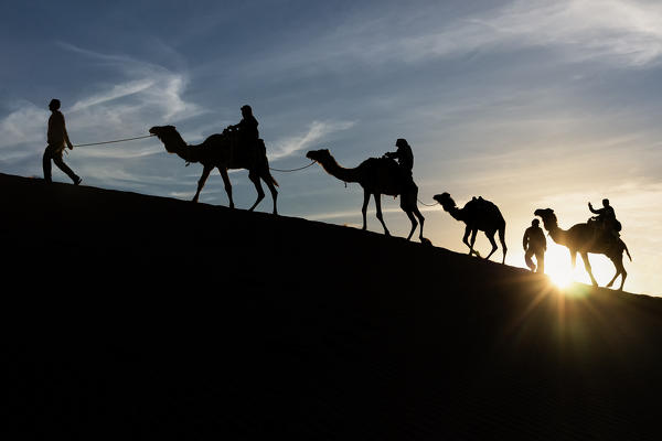 Berber Silohuette at the sunstet in the sand dunes with dromedary, Sahara desert, Tunisia, Northern Africa.
