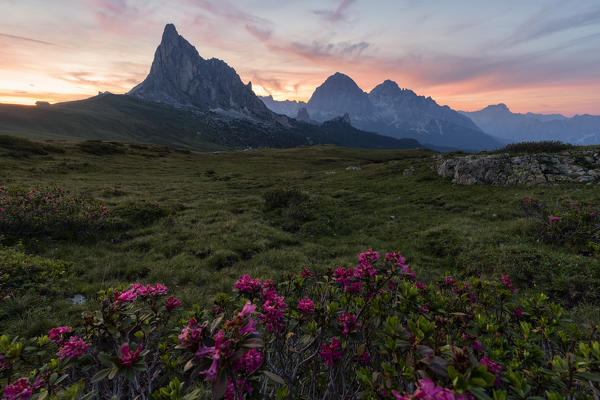 Passo Giau at sunrise in summer time, Belluno, San Vito di Cadore, Ampezzo Dolomites, Veneto, Italy, Western Europe